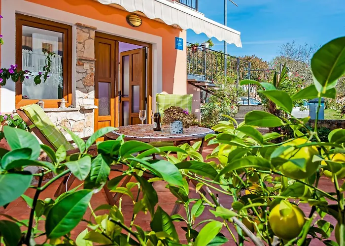Apartments Borche